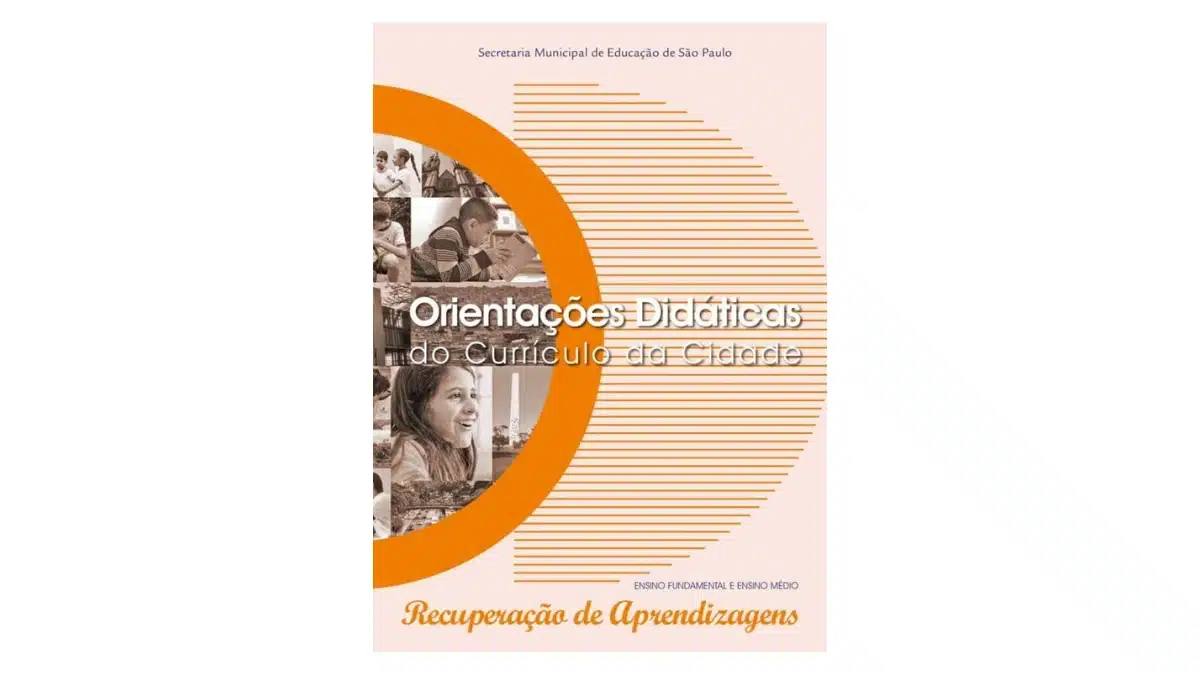 orientacoes didaticas apoio pedagogico recuperacao de aprendizagens