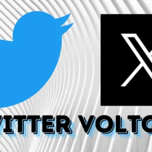 Twitter voltou! Como as Redes Sociais interferem em nossa Escrita